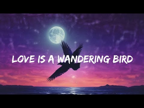 Love Is a Wandering Bird – official song music