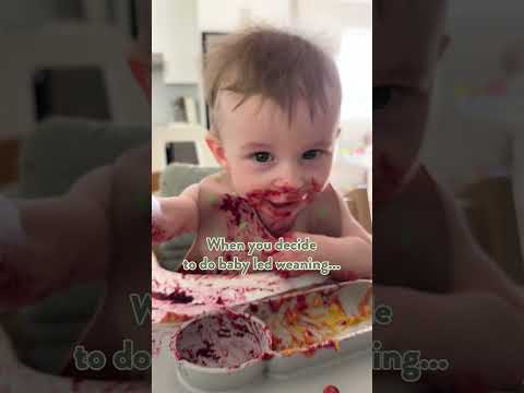 POV: Diving into Baby Led Weaning – The Good, The Bad, and The Messy!