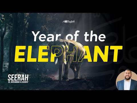 Seerah | Part 4: Year of the Elephant, Early Beginnings & Orphanhood | Sh.Muhammad Alshareef