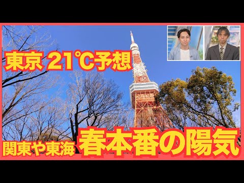 東京は21℃予想！ 西日本や東日本は春本番の陽気に