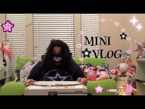 Mini vlog mail time with bunny