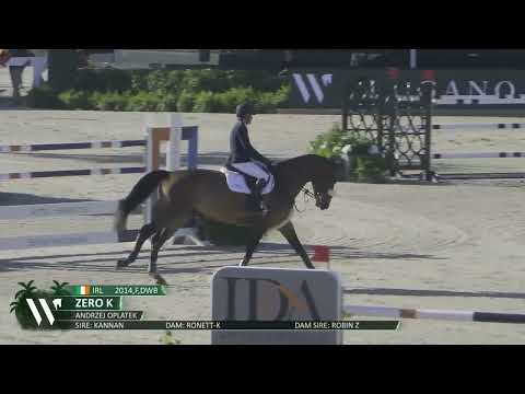 Darragh Kenny & Zero K Win Adequan® WEF Challenge Cup Rnd. 9