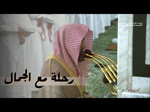 رحلة مع الجمال: تلاوة فريدة للشيخ عبدالله القرافي ليلة 7 رمضان من المسجد النبوي