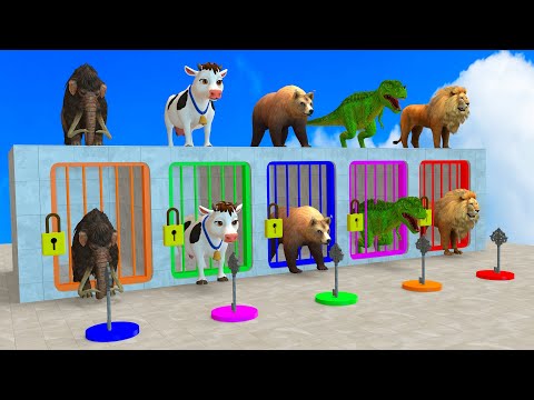 Choose The Right Gift Key Run Game With Cow Elephant Gorilla Buffalo Pig Dinosaur Wild Animals Games