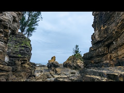 島さんぽ／沖縄の海／天然ビーチ／ 瀬嵩の浜／辺野古の海／撮り歩き／OSMO POCKET3 カメラマンVlog「東海岸が面白い」おっさんVLOG #34