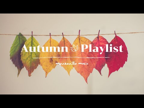 【Playlist】秋の始まりに聴きたい洋楽メドレー / R&B Pop / 作業用BGM / 仕事や勉強のBGM / Autumn Playlist / 著作権フリー