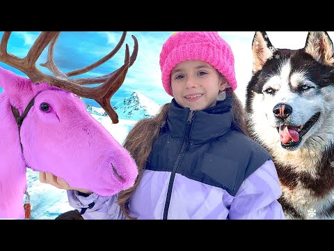 Ruby and Bonnie Husky and Reindeer Adventure in Lapland