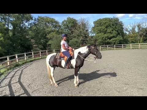 Amazing first horse ride in a western saddle!