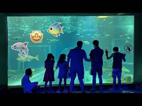 Americans visit Rio de Janeiro Aquarium - AquaRio