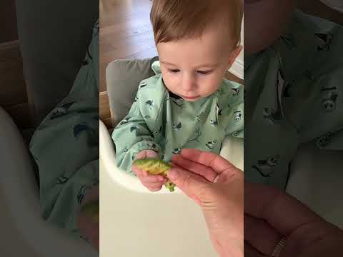 Breakfast Win: My 7-Month-Old Approves!