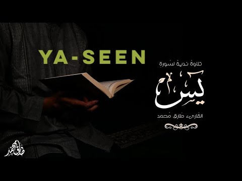 Surah Ya-Seen || Tareq Mohammad || Best Qur'an recitation in the world