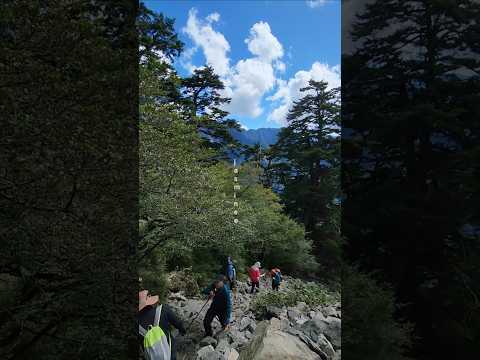 Stone waterfall at the front peak of Yushan Mountain⛰️玉山前峰石瀑 #taiwan #玉山前峰 #玉山國家公園 #nature #hiking