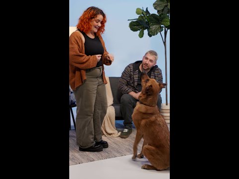 Ollie was a shy little pup, but that didn’t stop Tabitha and Jay from immediately falling in love.