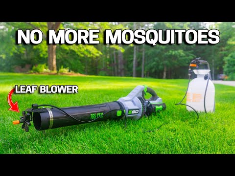 3 Ways to WIPE OUT MOSQUITOES in your YARD - Cheap & Easy!