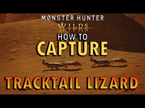 Monster Hunter Wilds - How to Catch a Tracktail Lizard | Dareel Research Report Guide (+ Commentary)