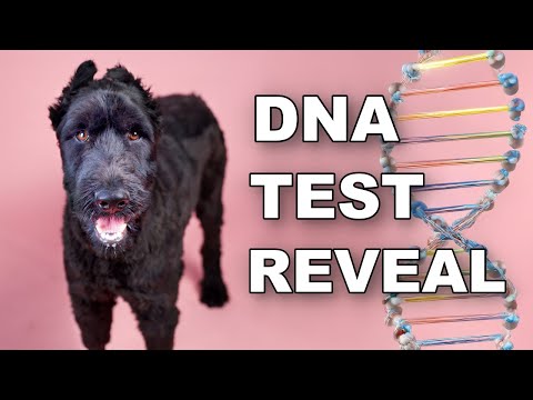 Valentina DNA Test Reveal 😳 (LIVE 🔴)