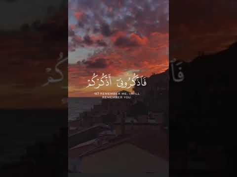 فأذكروني أذكركم ......🌾🌾