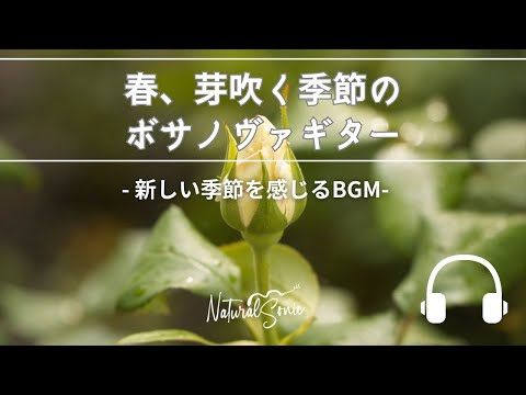 Natural Sonic「春、芽吹の季節のボサノヴァギター」- 新しい季節を感じるBGM -