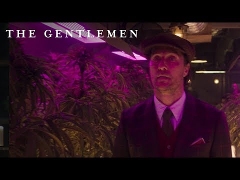 The Gentlemen | “Budding” Digital Spot |  Own it NOW on Digital HD, Blu-ray & DVD