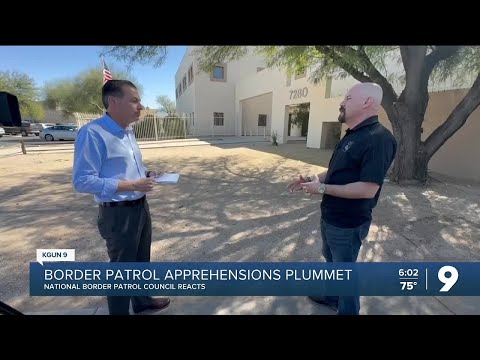 Border patrol apprehensions plummet in February