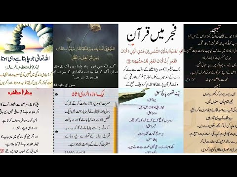 Urdu Islamic Success Quotes 🥀// Urdu Islamic Quotes// Urdu ADAB// Urdu Quotes