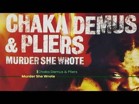 Chaka Demus & Pliers - Murder She Wrote |  Piano Visualization 🎵✨