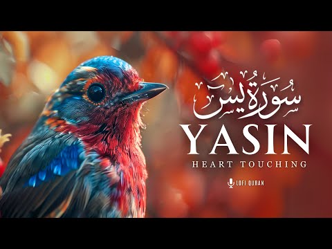 Surah Yaseen (Yasin) | SOUL TOUCHING | Lofi Quran | سورة يس  Surah Yasin Lofi | #surahyaseen