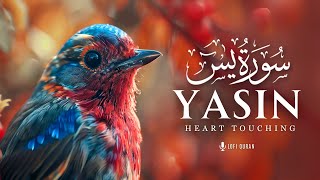 Surah Yaseen (Yasin) | SOUL TOUCHING | Lofi Quran | سورة يس  Surah Yasin Lofi | #surahyaseen