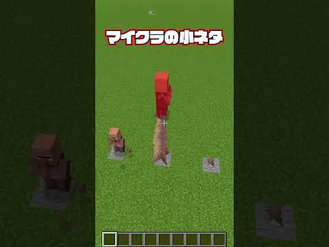 マイクラの秘密4🤫