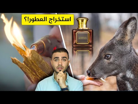 شاهد استخراج 20 نوع من أنواع العطور😱المسك والعنبر والعود😍 عطر الورد وخشب الصندل ..الخ