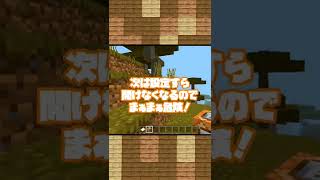 実行するとかなりやばいマイクラの危険なコマンド6選 #マイクラ #Minecraft #マイクラコマンド #shorts