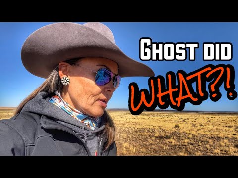 WHO OWNS THE RANCH??? | BLOWN UP BARREL HORSE