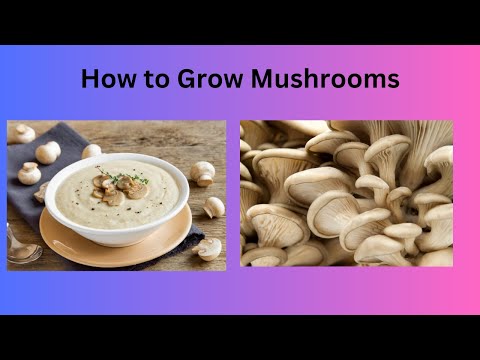 How to Grow Mushrooms