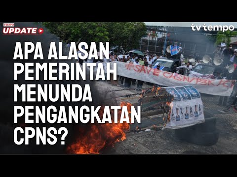 Tempo Eksplainer: Apa Alasan Sebenarnya Pemerintah Menunda Pengangkatan CPNS?