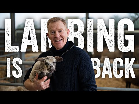 Everything You Want to Know About Lambing - Adam Henson's Farm Diaries