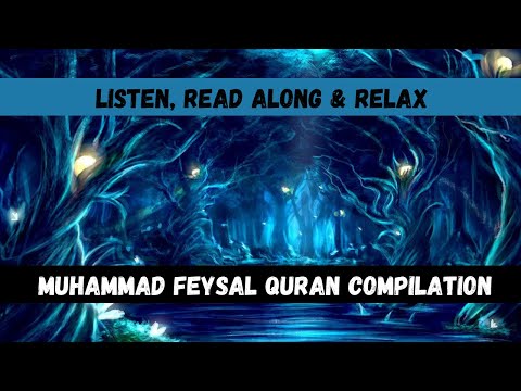 Feysal Quran Compilation - Relax and Stress Relief