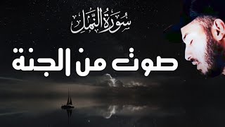 سورة النمل 🐜 تلاوة هادئة ❤️ وراحة نفسية 😴 | ما أجمل القرآن الكريم🌹القارى بلال دربالي صوت من السماء √