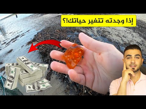 إذا وجدت الكهرمان على الشاطيء فأنت محظوظ😍ما الفرق بين العنبر والكهرمان🤔 أسرار مهمة!