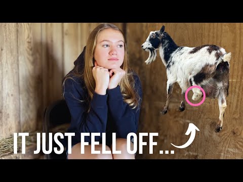 Farm Life is Rough | Poppy's Story