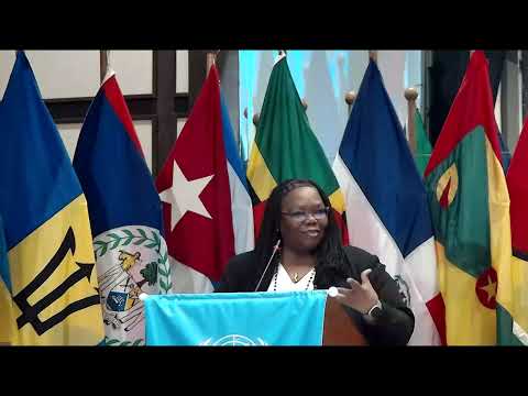 Thirtieth session of the Caribbean Development and Cooperation Committee (September 11, 2024)