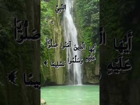 🌹صلوا على الحبيب محمد🌹#القرآن_الكريم  #قرآن #حالات_واتس   #quran  #فلسطين  #youtube #youtubeshorts