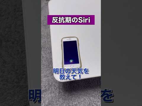 Siriに明日の天気を聞いた結果泣#siri #アレクサ