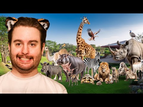 Ranking Zoo Animals