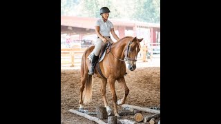 Learn about Rider Wars, a horseback riding competition at the Appalachian Trainer Face Off