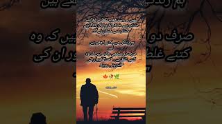 Best🌿Motivational🍁Urdu Qoutes🍀Status #motivationalurduqoutes #starasg #Shorts