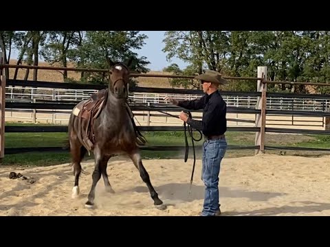 Is my Mustang Ready for the First Ride!? Ft. Mustang Champion Nate Eicher