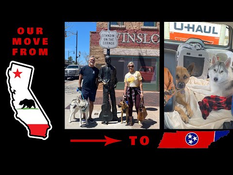 Tips on driving Cross Country from California to Tennessee with three animals.