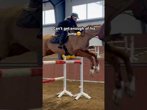 Cool Jumps😱#trending #horse #france #equestrian #horseriding #viralshorts #foryou #fyp #foryoupage