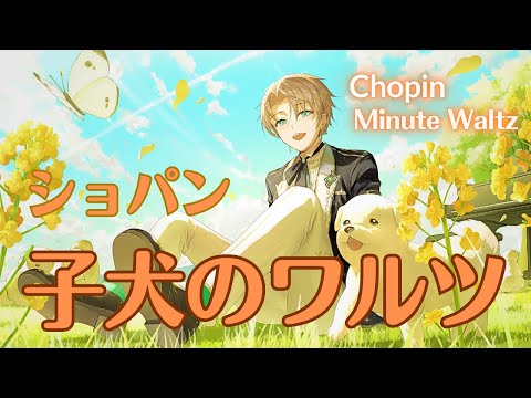 [High-Quality Piano Performance] Chopin: Minute Waltz／Urune Nokuto