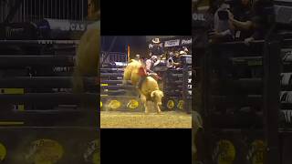 Pay Dirt Leads Alvidrez Straight to the Pay Window! 88.5 Points! #shorts #agro #rodeo #cowboys